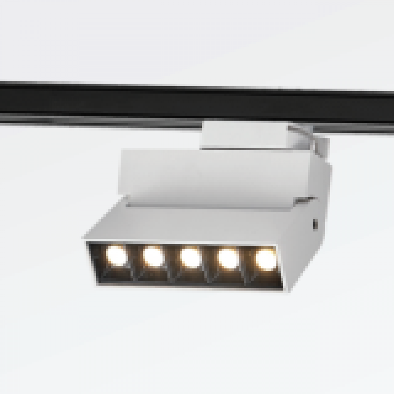 TR008 - Đèn LED Thanh Ray
